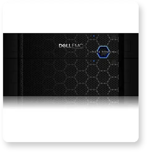 Data Domain